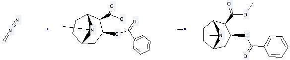 Cocaine is prepared by reaction of (1R)-3exo-benzoyloxy-tropane-2exo-carboxylic acid with diazomethane.